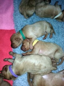 Illinois / Ithaca / Idid / Indiana